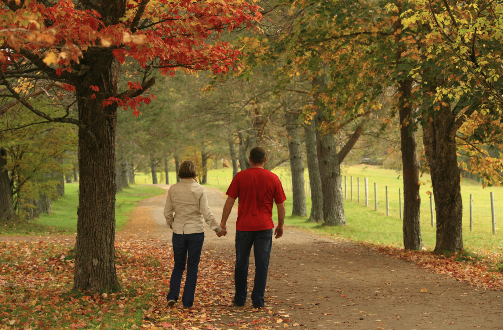 8 Fall Steps for Healthy Living