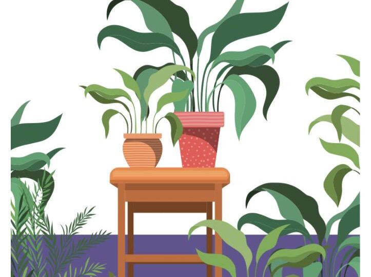 plants on a stool illustration