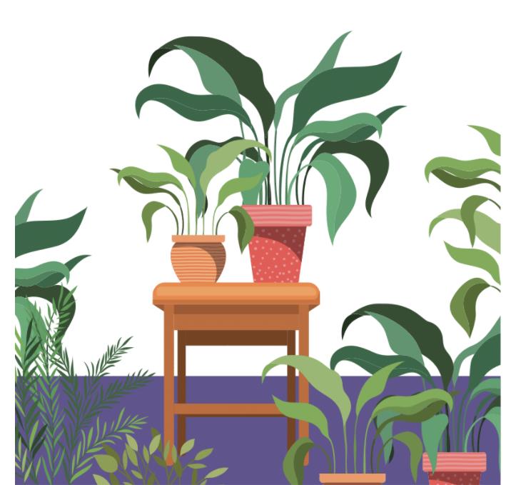 plants on a stool illustration