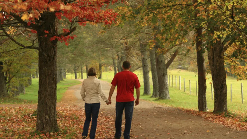 8 Fall Steps for Healthy Living