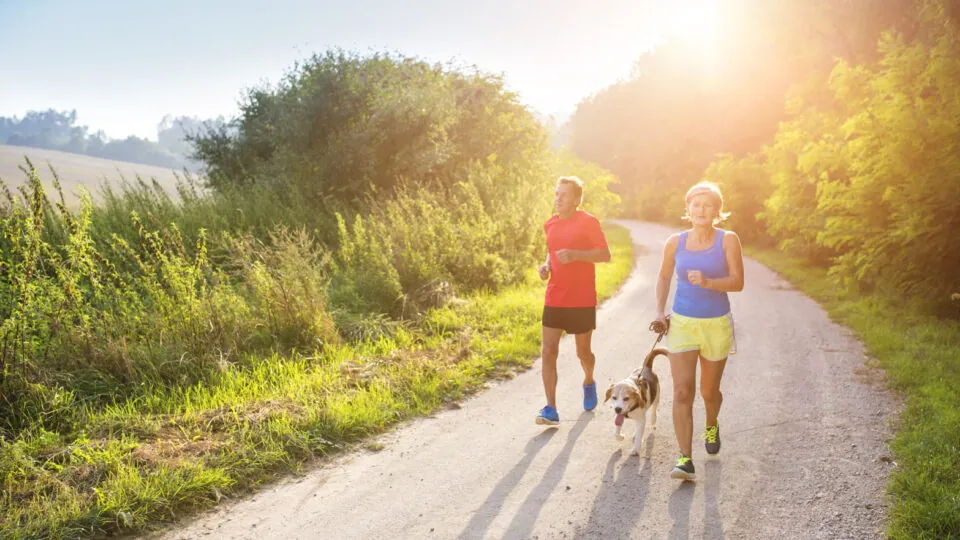 Exercise Your Brain